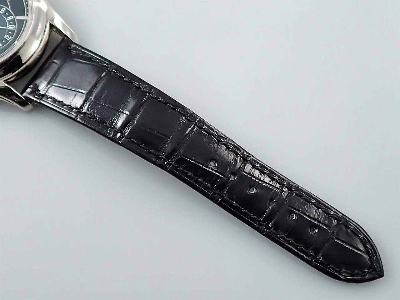 パテックフィリップ アニュアルカレンダー Ref.5205G-013 ホワイトゴールド ブルーブラックグラデーション文字盤 - Image 10