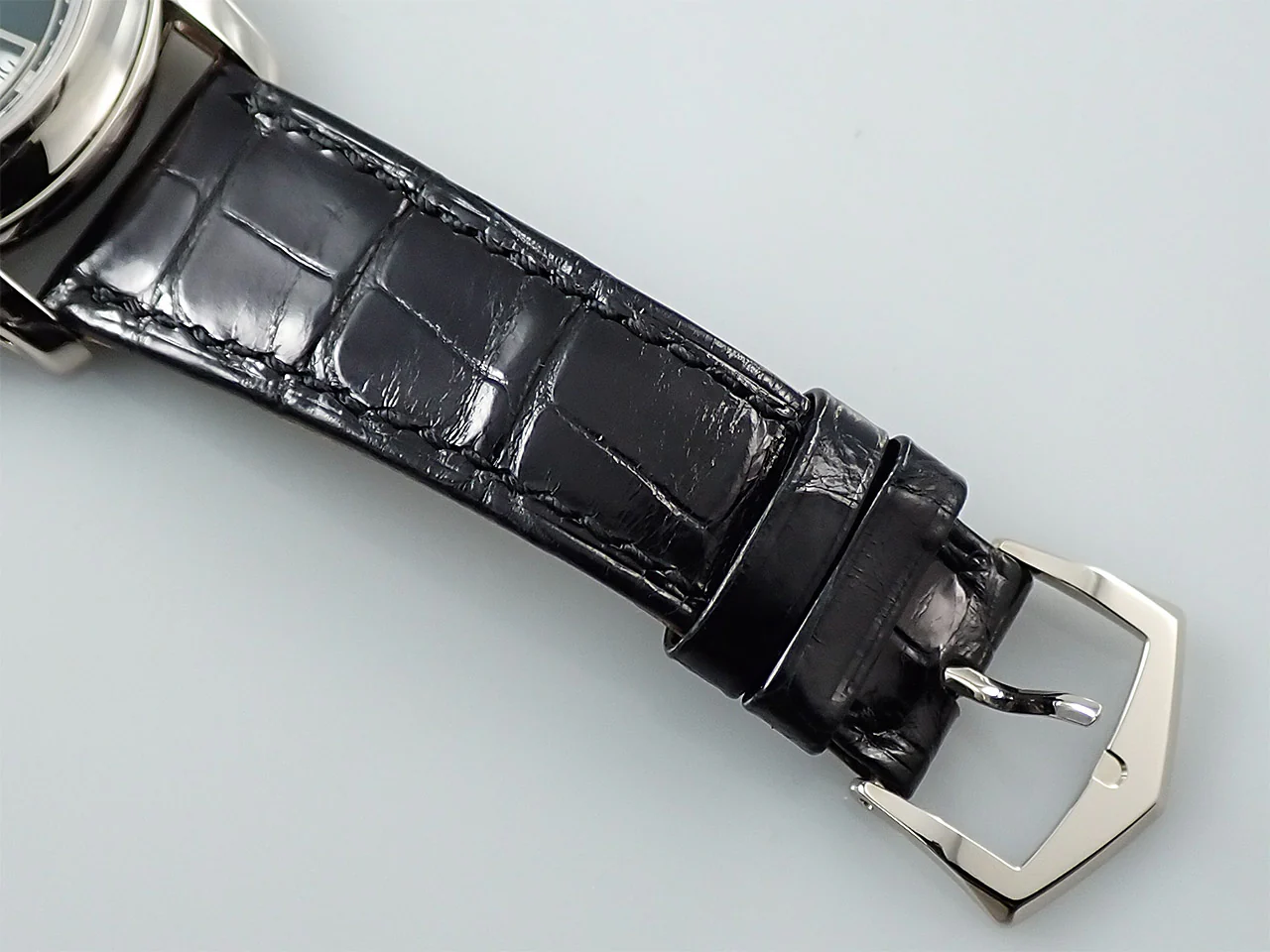 パテックフィリップ アニュアルカレンダー Ref.5205G-013 ホワイトゴールド ブルーブラックグラデーション文字盤 - Image 8