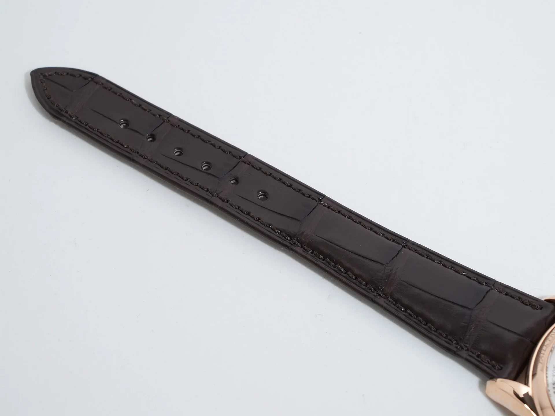 パテックフィリップ ワールドタイム クロワゾネ Ref.5131R-010 ローズゴールド クロワゾネ文字盤 - Image 11